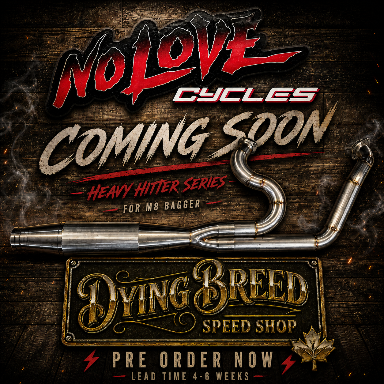 No Love Cycles "Heavy Hitter " M8 Bagger