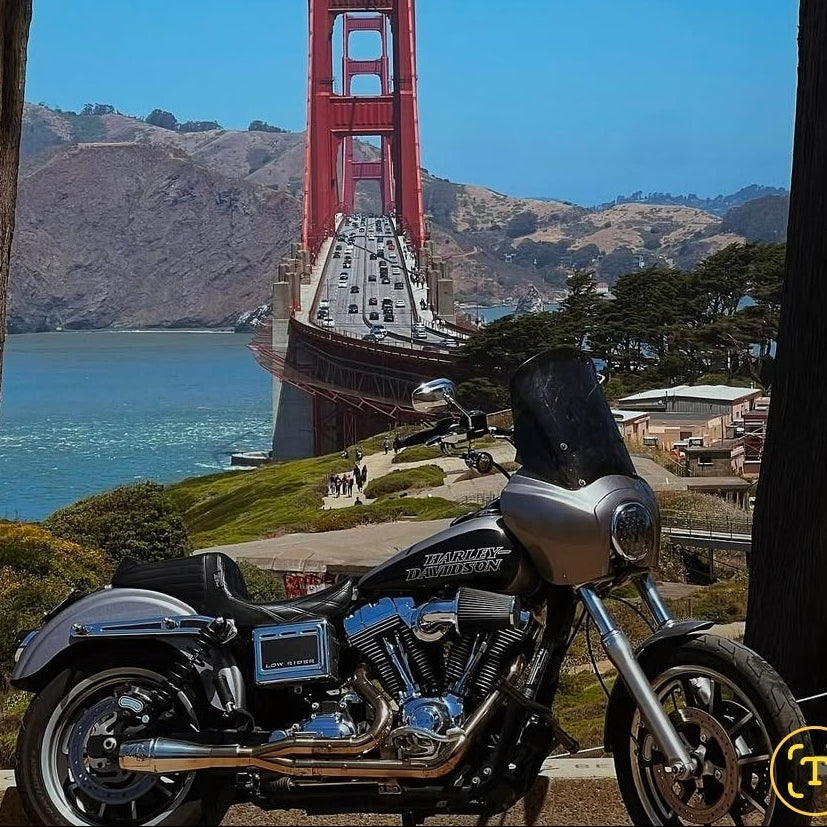 Dyna High output 2 into 1